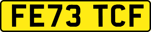 FE73TCF