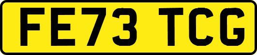 FE73TCG