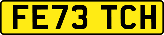 FE73TCH