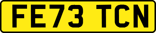 FE73TCN