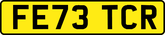 FE73TCR