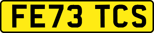 FE73TCS
