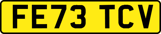 FE73TCV