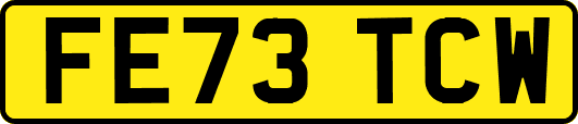 FE73TCW