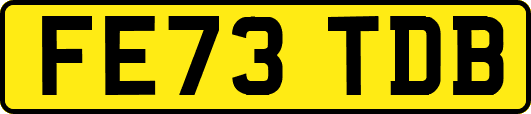 FE73TDB