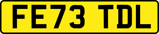 FE73TDL