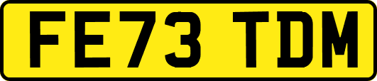 FE73TDM