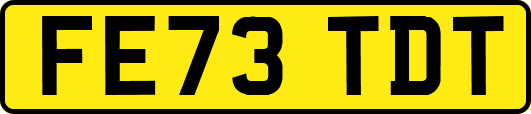 FE73TDT