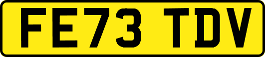 FE73TDV