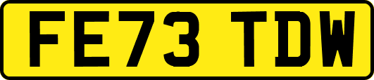 FE73TDW