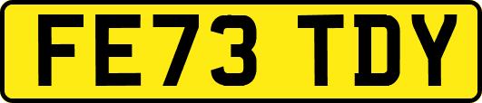 FE73TDY