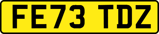 FE73TDZ