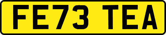 FE73TEA