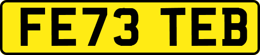 FE73TEB