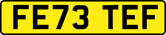 FE73TEF