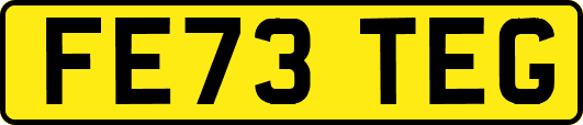 FE73TEG