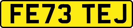 FE73TEJ
