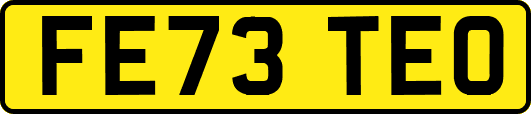 FE73TEO