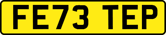 FE73TEP