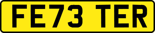 FE73TER