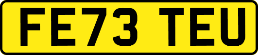 FE73TEU