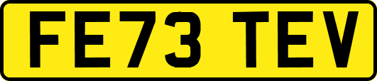 FE73TEV
