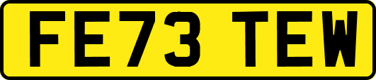 FE73TEW