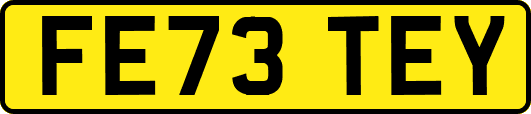 FE73TEY