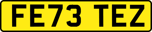 FE73TEZ