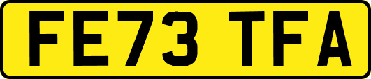 FE73TFA