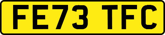 FE73TFC