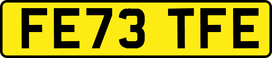 FE73TFE