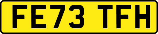 FE73TFH