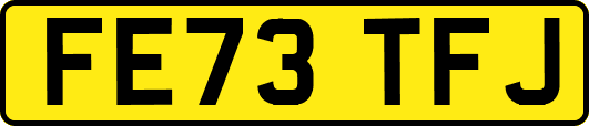 FE73TFJ