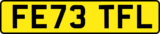 FE73TFL