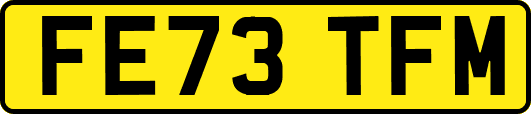 FE73TFM