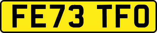 FE73TFO