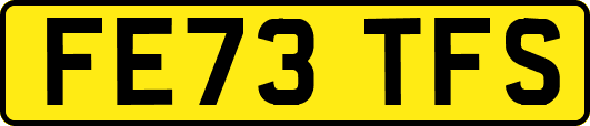 FE73TFS