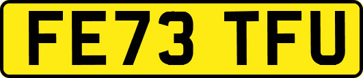 FE73TFU