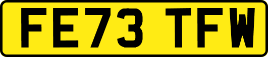 FE73TFW
