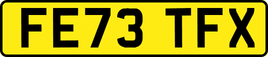 FE73TFX