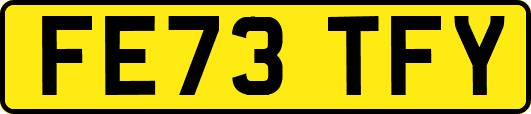 FE73TFY