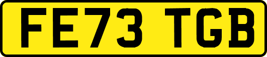 FE73TGB