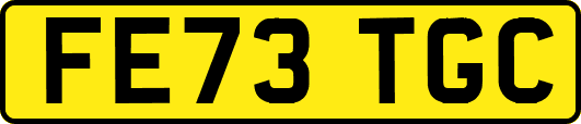 FE73TGC