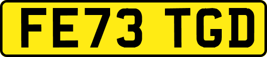 FE73TGD