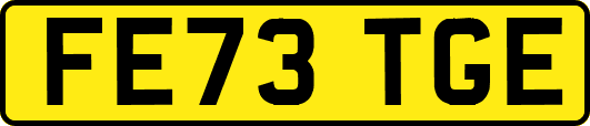 FE73TGE
