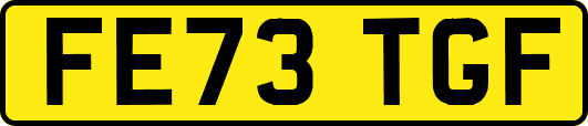 FE73TGF