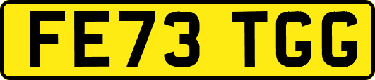 FE73TGG