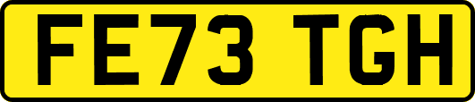 FE73TGH