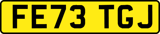 FE73TGJ